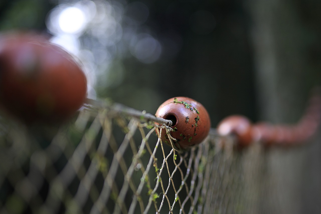 What is Greywater and How Can You Reuse It?